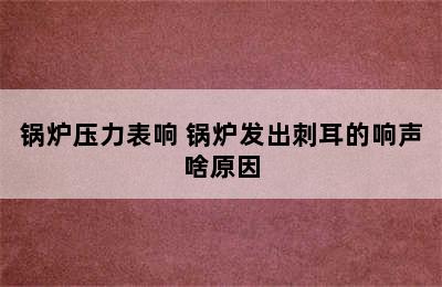 锅炉压力表响 锅炉发出刺耳的响声啥原因